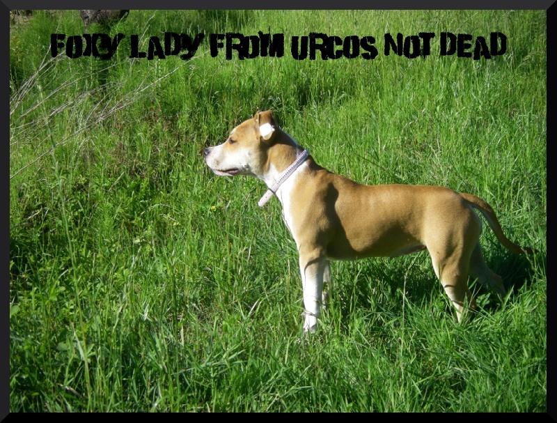 Foxy lady from Urcos Not Dead