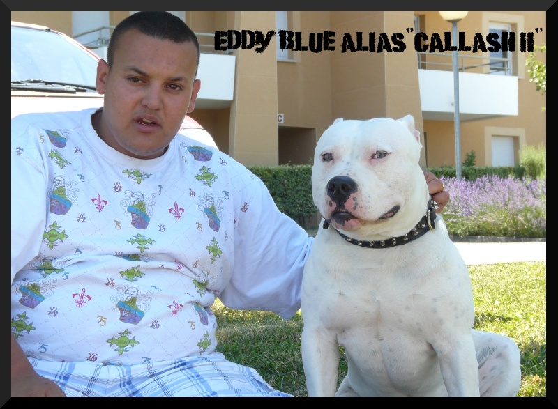 Eddy Blue from Urcos Not Dead