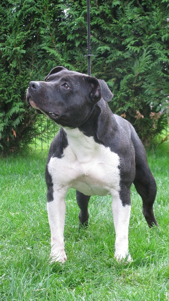 Florida from Urcos Not Dead